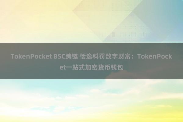 TokenPocket BSC跨链 恬逸科罚数字财富：TokenPocket一站式加密货币钱包