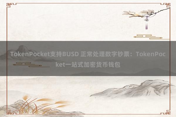 TokenPocket支持BUSD 正常处理数字钞票：TokenPocket一站式加密货币钱包