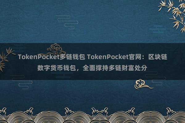 TokenPocket多链钱包 TokenPocket官网：区块链数字货币钱包，全面撑持多链财富处分